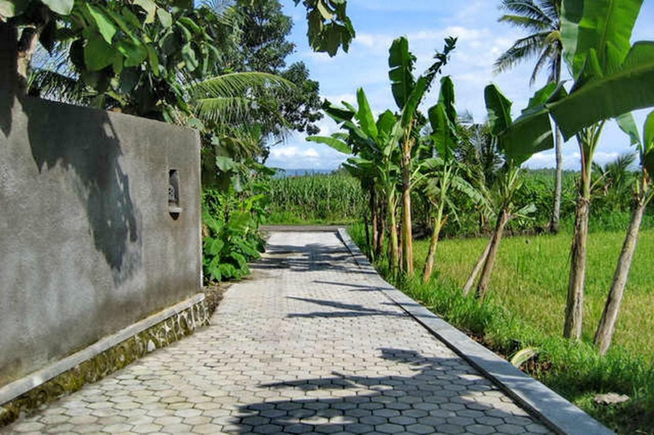 يوغياكارتا The Sawah Home Hotel المظهر الخارجي الصورة